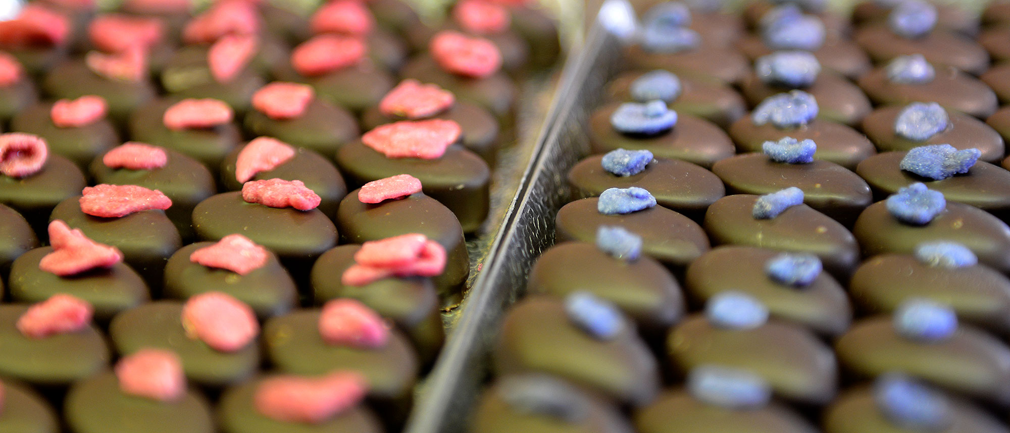 Decorated chocolates in production